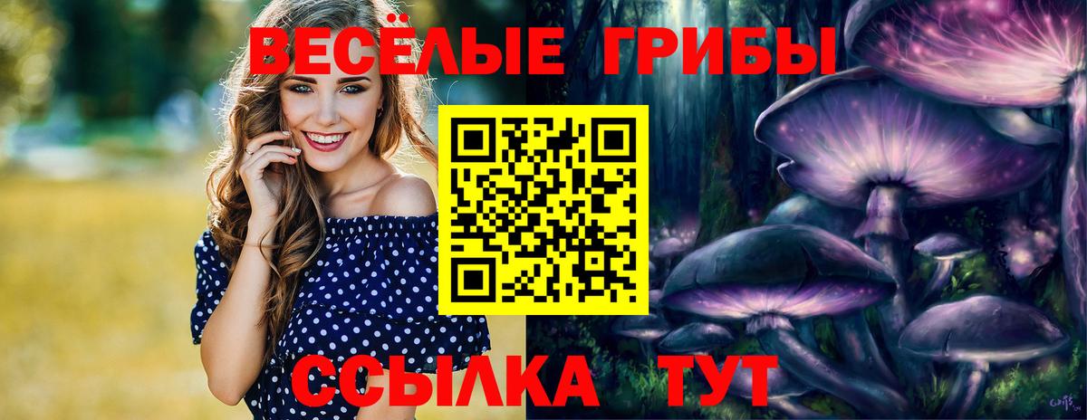 Мелеуз  Галлюциногенные грибы Psilocybine cubensis  Вход с VPN 